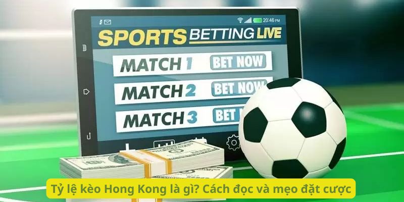 Tỷ lệ kèo Hong Kong là gì? Cách đọc và mẹo đặt cược