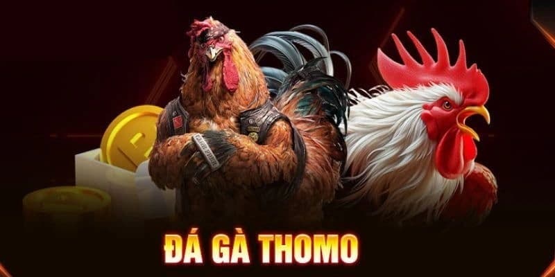 Đá gà Thomo CF68